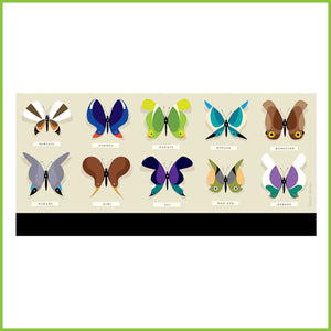 The full image of the rare butterfly specimens design for CuppaCoffeeCup by Glenn Jones.