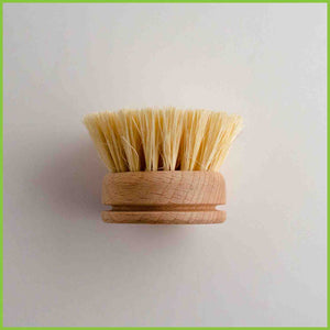 Wooden dish brush head with vegetable fibre bristles.