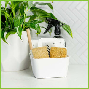 Two eco scrub kitchen cleaning sponges sitting in a cleaning caddy next to a pot plant.